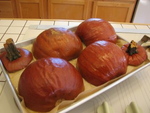 Roasted sugar pumpkins