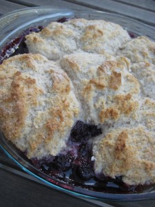 Pan of Bisquick Blackberry cobbler