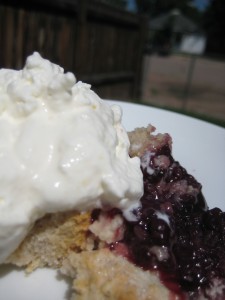 Piece of Bisuick Blackberry Cobbler