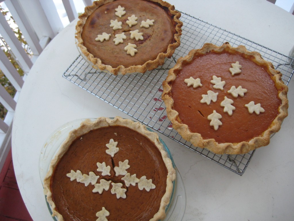 pies ready for testing, clockwise from top, left:  fresh pumpkin pie, pre-mixed filling pie, canned pumpkin pie